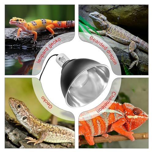 Reptile Lamp Bulb Fixture 5.5 Inch Deep Dome with Switch (Cone Dome W/ Switch / 1pcs*Dome-5.5" (Max 150W))