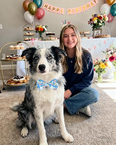 10 Pack Happy Birthday Dog Bowties for Large Dogs Sliding Collar (M/L)