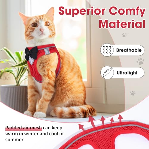 Cat Vest Harness and Leash Set (Red / XS)