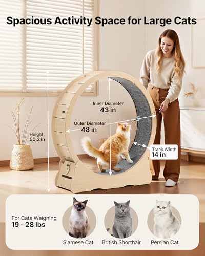 Cat Exercise Wheel (Wood grain color)