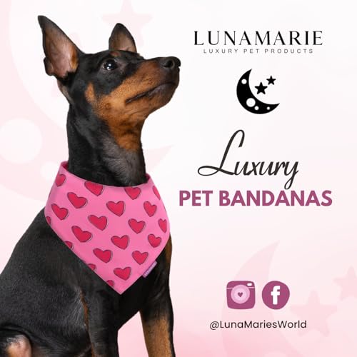 Luxury Pet Birthday Bandanas (Jennifer / Large)