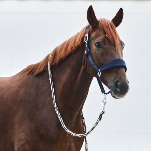 Kiel Horse Halter (Dark Navy / Pony)