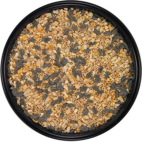 Premium Wild Bird Food (1 Count (Pack of 1))