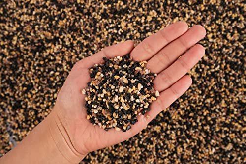 Pangea Aquarium Natural Fine Gravel 1 (2L)