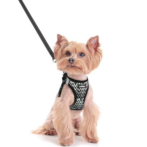 Dog Harness Small Sized and Leash Set (Black Zigzag / Xxs (chest: 12.4 - 14.2"))