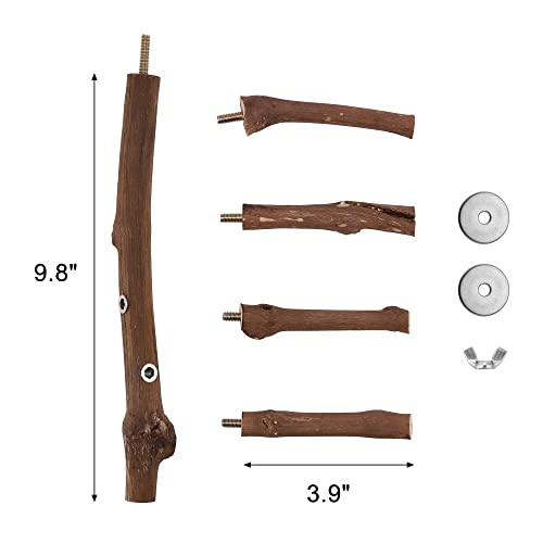 Natural Bird Perch Stand for Cage