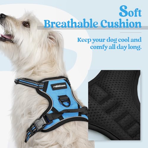 Dog Harness No Pull for Small Dogs with 2 Leash Clips (X-Small / Blue)