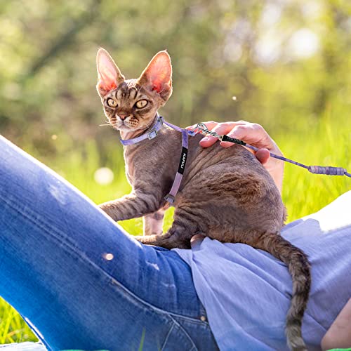 Cat Harness and Leash Set (Gradient Purple)