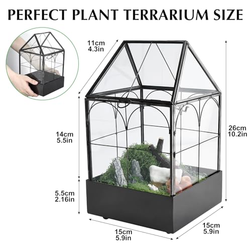 Glass Terrarium with Metal Tray (Small-5.9"L x 5.9"W x 10.2"H)