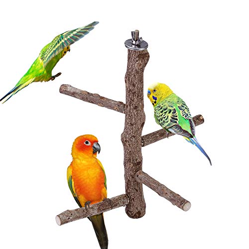 Natural Wood Bird Perch Stand for Cage
