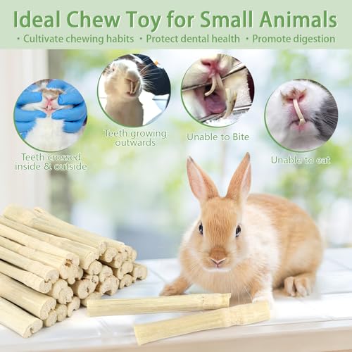 300g Sweet Bamboo Sticks for Rabbits