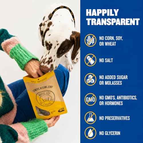 Winnie Lou Turmeric Bison Jerky Dog Treats (2.5 Ounce (Pack of 2))