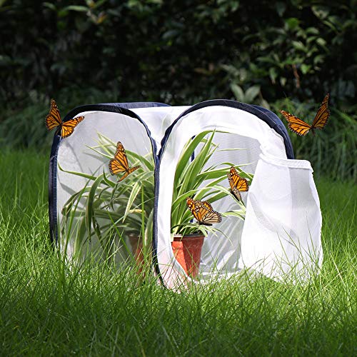 Insect and Butterfly Habitat Cage Terrarium Pop (White With Black / 12 x 12 x 12 inches)