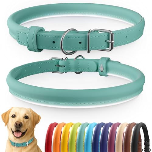 Tangle Free Reflective Leather Dog Collar (Mint Green / XL)