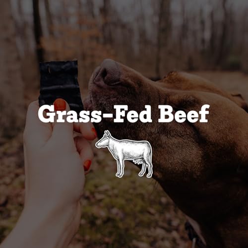 Beef Trainers (4.5 Ounce (Pack of 2))