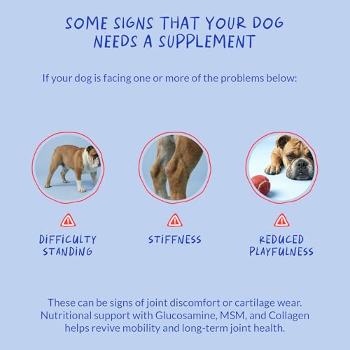 Max Strenght Hip & Joint Supplement for Senior & Large Breeds Dogs