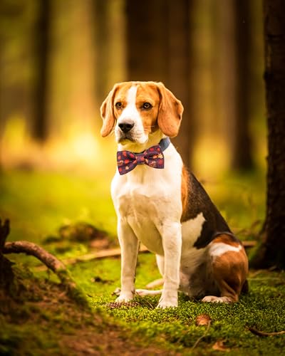 10 Pack Fall Dog Bowties for Small Dogs Sliding on Collar (S/M)