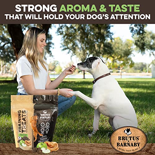 Training Treats for Dogs