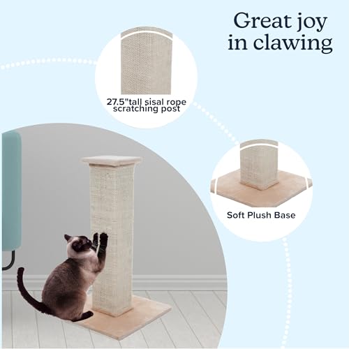 Cat Scratching Post with Carpeted Base (Beige)