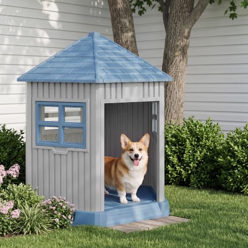 Outdoor Dog House for Small Medium Dogs (Blue-Grey)