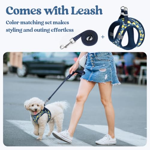 Dog Harness Small Sized and Leash Set (Navy Lemon / Xs (chest: 13.3 - 15.5"))