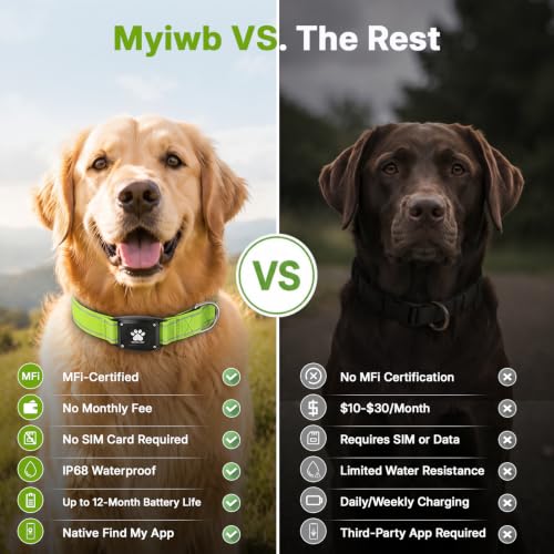 GPS Dog Collar with Tracker (Green / XS(10.5''-13.5''))