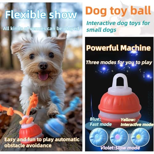 Interactive Dog Toys (A Orange+Blue)