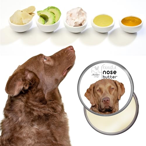 Chesapeake Bay Retriever Unscented Nose Butter (Chesapeake Bay Retriever / 4 Ounce)