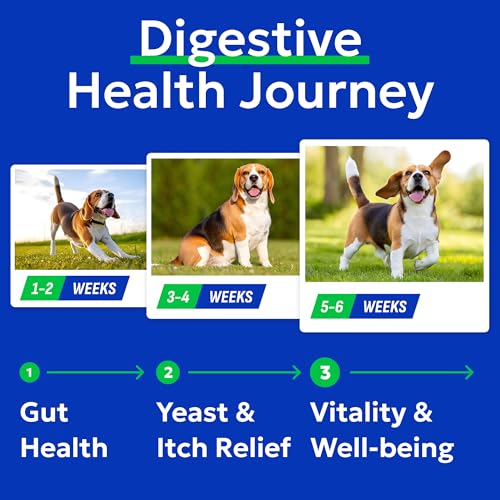 Probiotics for Dogs (Probiotic Chews / 240Ct Value Pack Bacon)