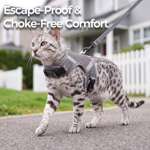Cat Harness and Leash Set (Grey / X-Large)