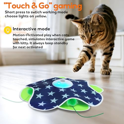 Interactive Cat Toys for Indoor Cats Kittens Mat Toy
