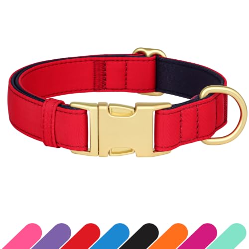 Soft Padded Dog Collar for Large Dogs (Red / L：Fit 16-22" Neck, Width 1")