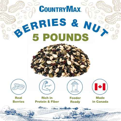 Backyard Seeds 5LB Berries 'n Nut Blend Bird Seed Mix (Berries & Nut / 5 Pound (Pack of 1))