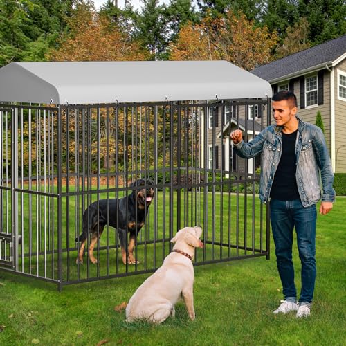 8x4x6 FT Outdoor Dog Kennel