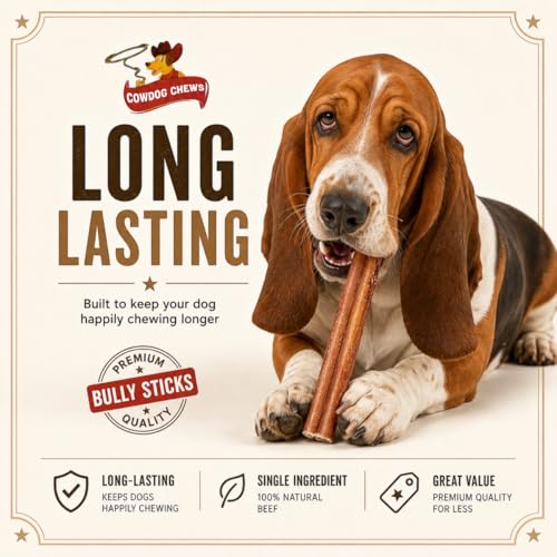 Beef Bully Stick