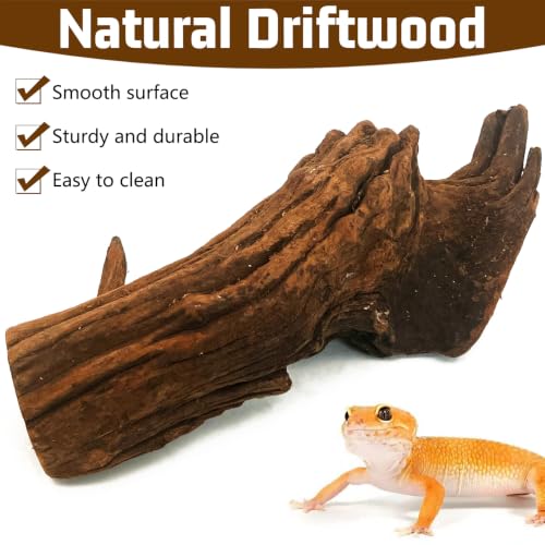 Bearded Dragon Driftwood for Reptile