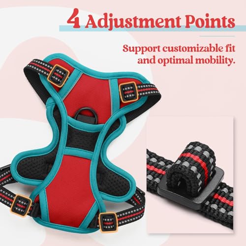 Dog Harness No Pull for Small Dogs with 2 Leash Clips (X-Small / Red & Teal)