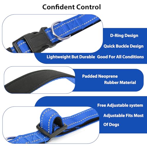 Reflective Dog Collar (Blue / M:width 3/4"neck 14-20.5")