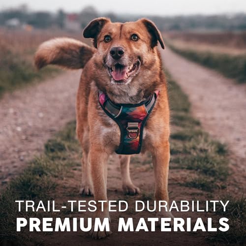 Embark No Pull Dog Harness (S / Aurora)