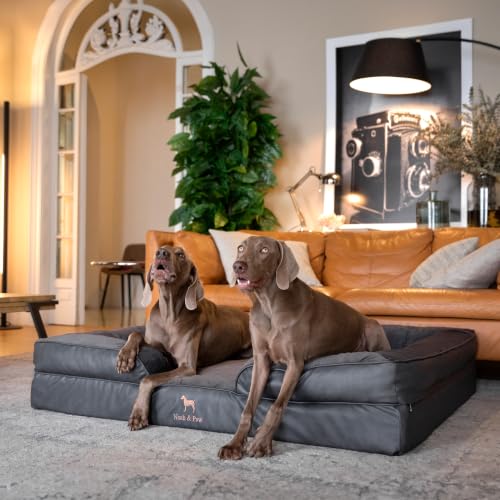 XXL Dog Bed Orthopedic Memory Cooling Foam (Charcoal - LE / XX-Large)