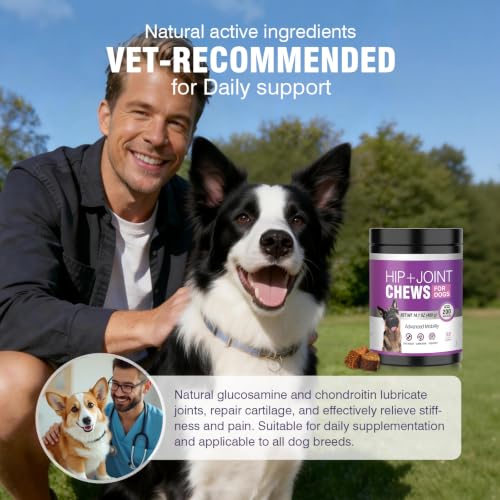 Joint Supplement for Dogs 200 ct (2 g/capsule 200pcs)