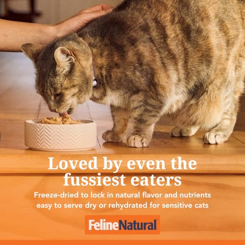High Protein Freeze Dried Dry Cat Food with 98% Meat (11 Ounce (Pack of 1))