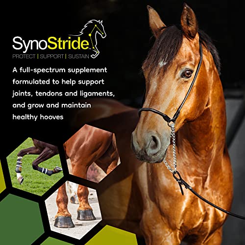 SynoStride Joint & Hoof Supplement for Horses (60 Doses)