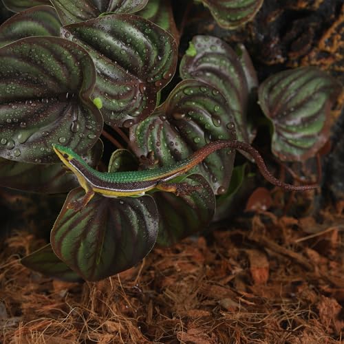 Fake Reptile Plants for Reptile Terrarium Plants