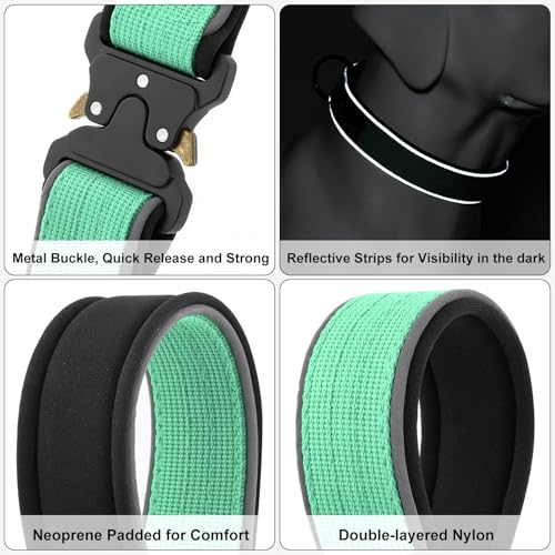 Tactical Dog Collar (S / Teal)