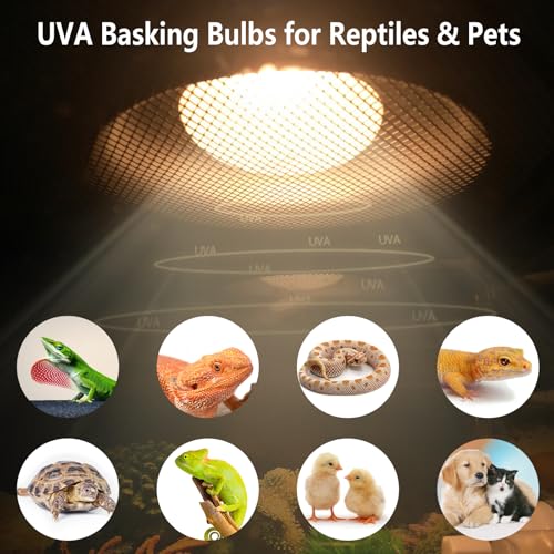 Pack of 4 Reptile Basking Light Bulbs (Uva Bulbs (4pcs) / 75W)