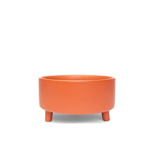 Uplift Ceramic Dog Bowl for Small Medium and Large Breeds (Small / Teracotta)
