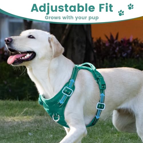 No Pull Dog Harness Front Clip Handle (Marrs Green / L(Neck:20.9-31.5",Chest:24.8-37.4"))