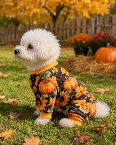 4 Pack Fall Pumpkin Dog Pajamas for Small Dogs (Medium)