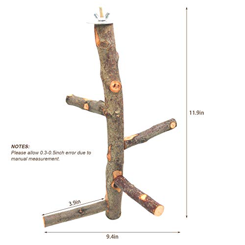 Bird Perch Nature Apple Hard Wood Stand (Set 1)